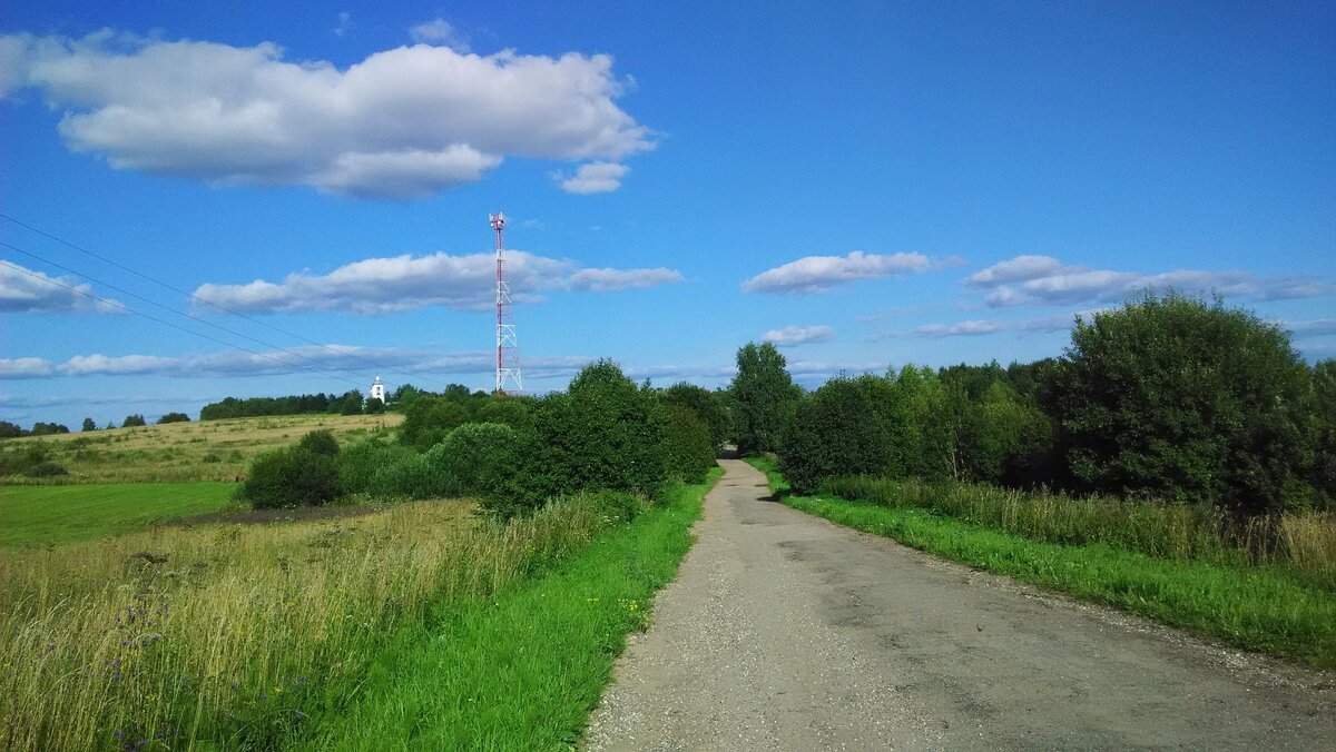 Особый участок. Пейзажи СНТ. Село перелесок Красногвардейского района дом 108.