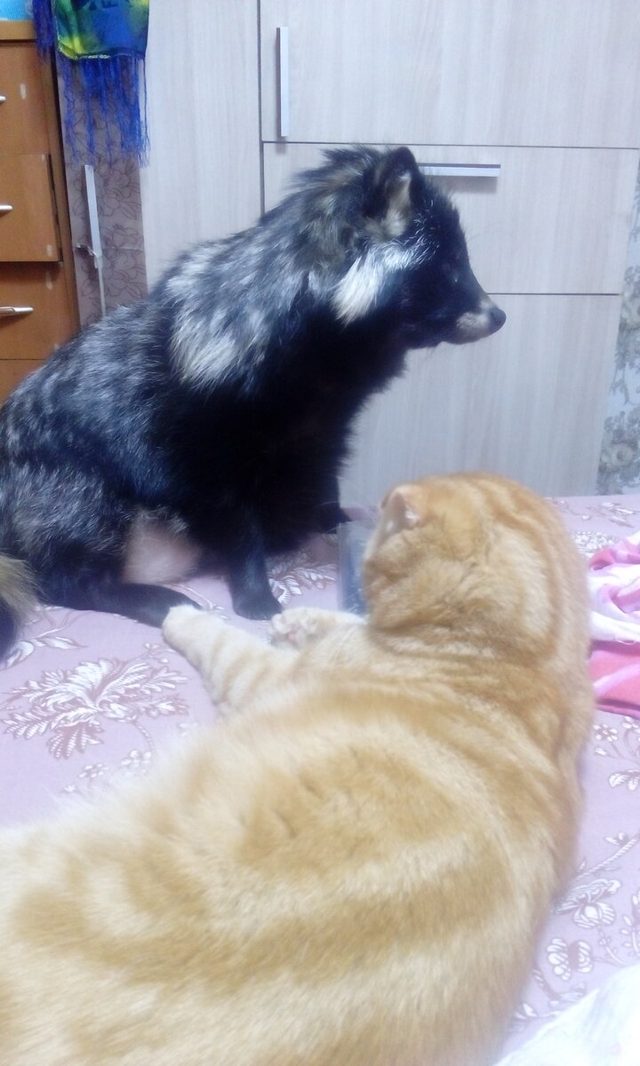 Роксана и Люк.