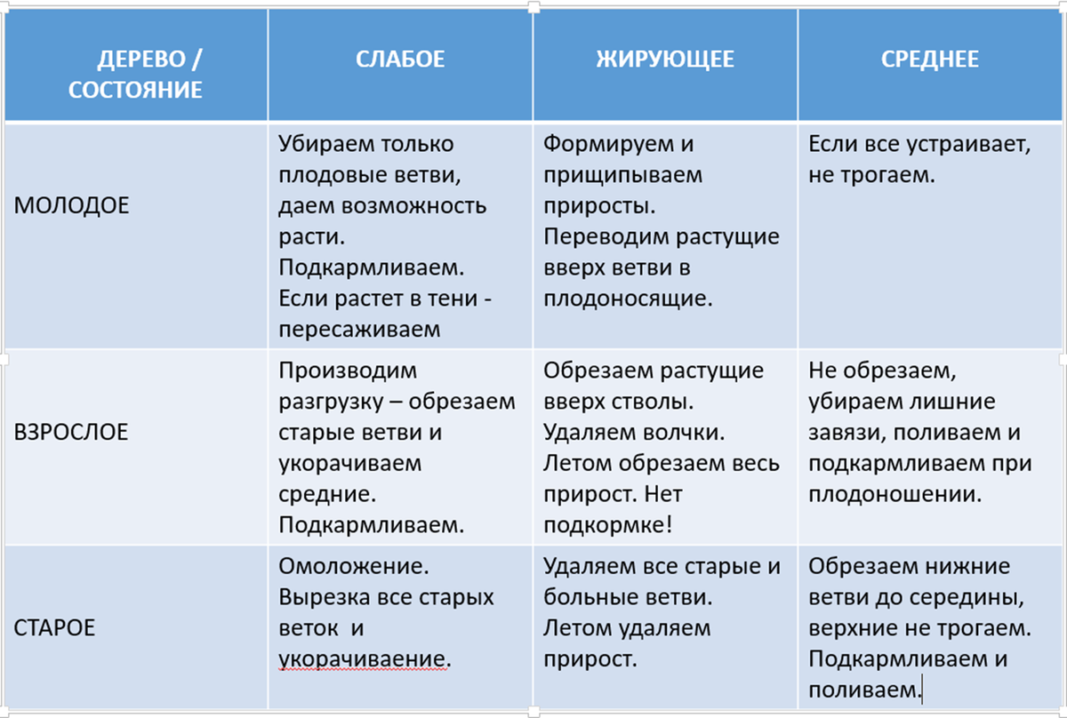 Стрижём сад правильно | Официальный сайт газеты Маяк