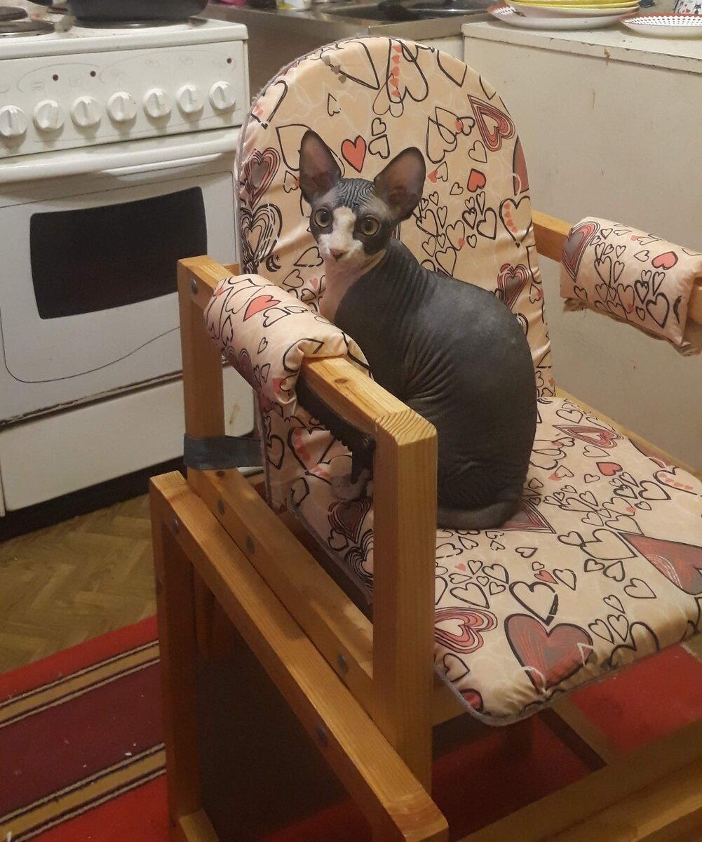 Как же не воссесть на трон?