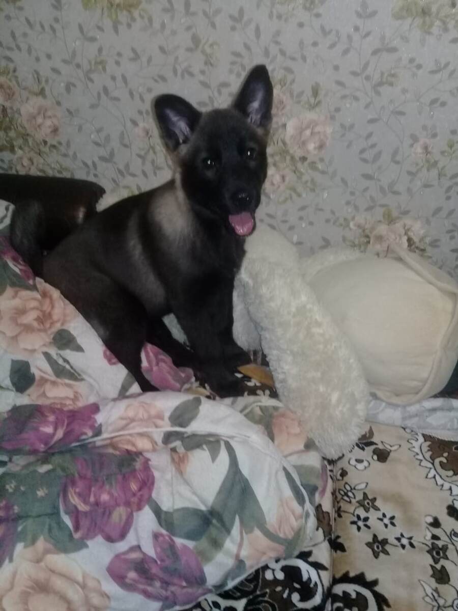 Фото из личного архива 
