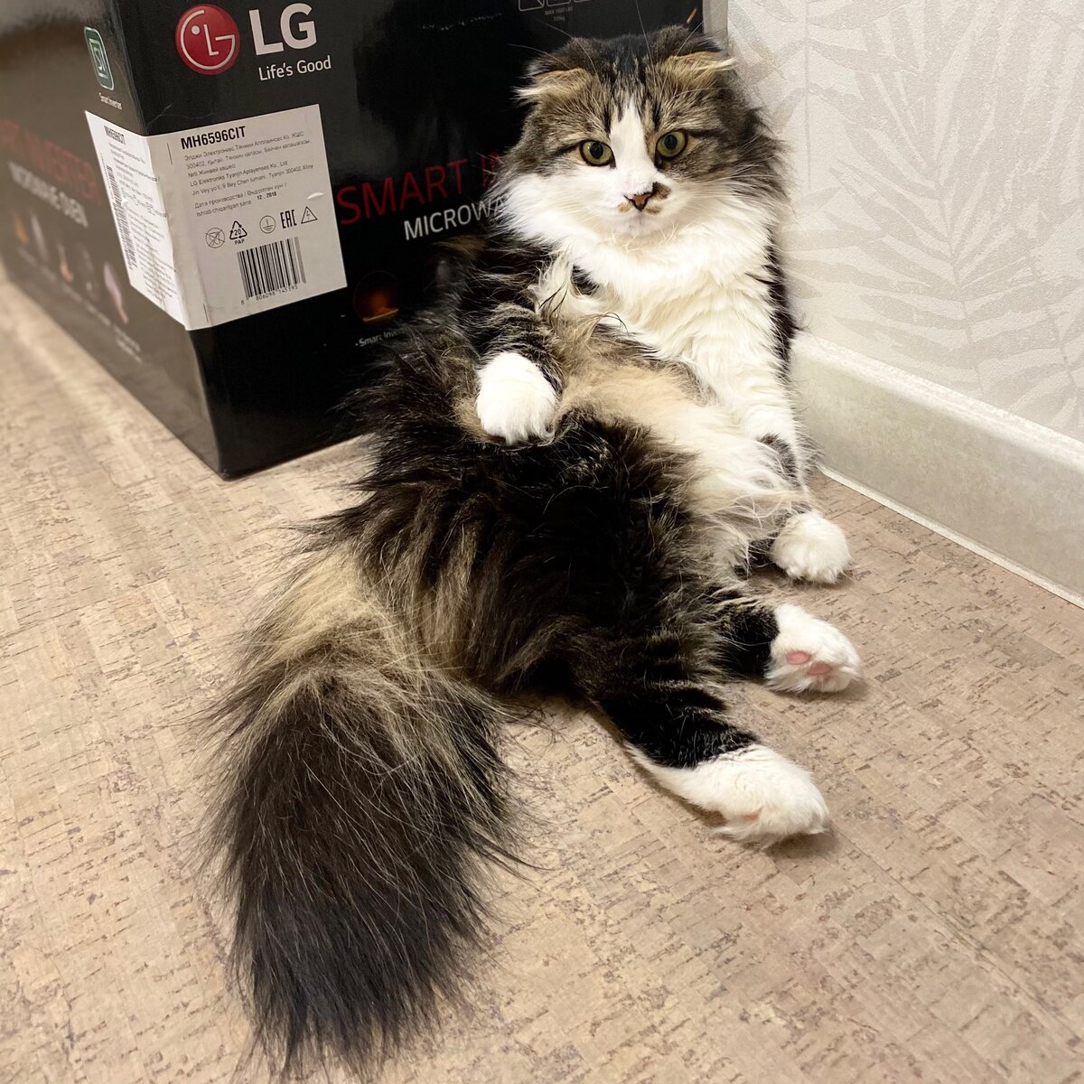 Каждый день ждём весну в коридоре