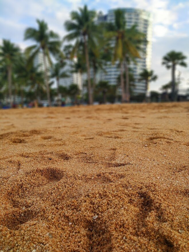 Я люблю во время отдыха фотографировать красивые мелочи, которые потом очень интересно изучать. А кому-то такой кадр будет очень полезен!