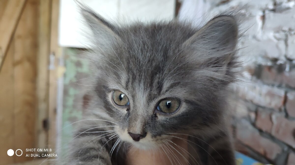 Очень красивая