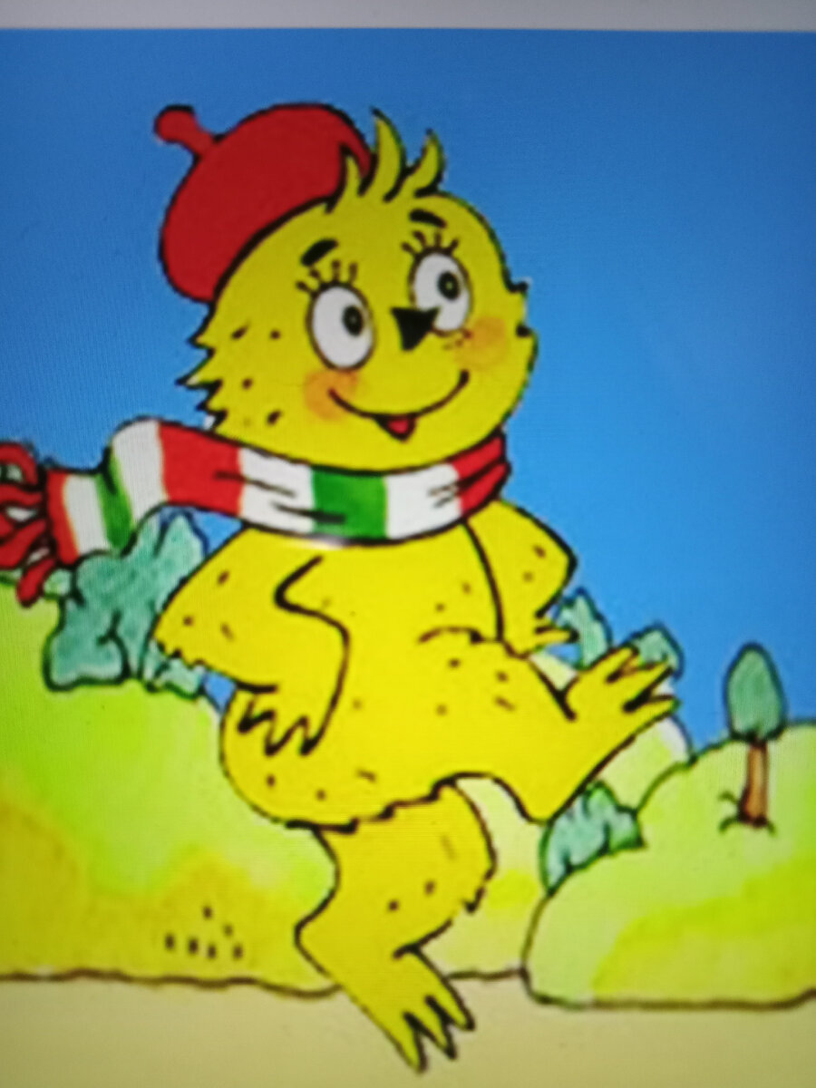 Фото автора. Сфотал планшет