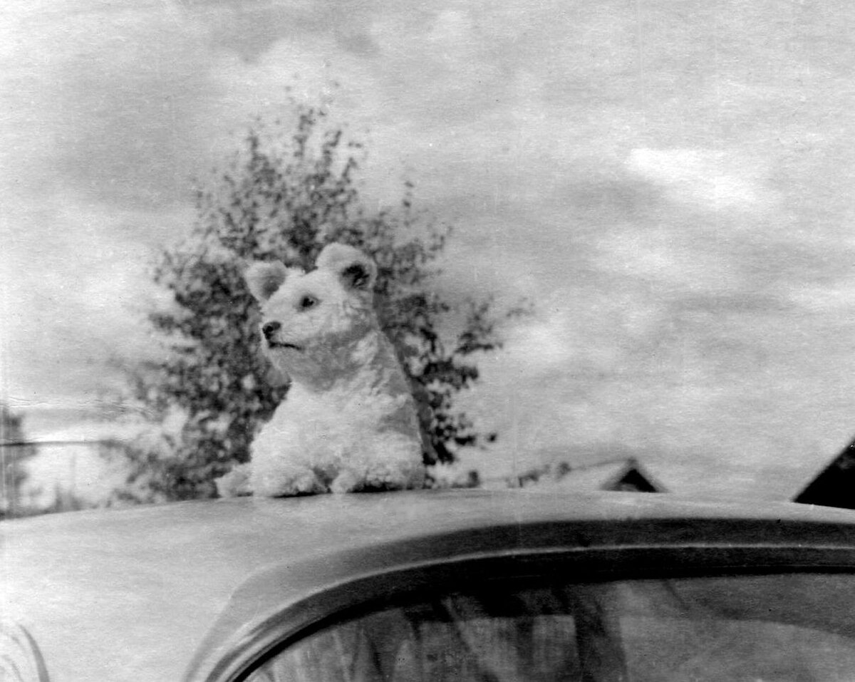 Фото автора