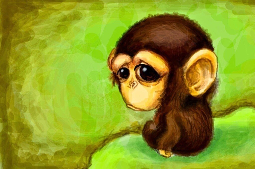 Фото из открытых источников.