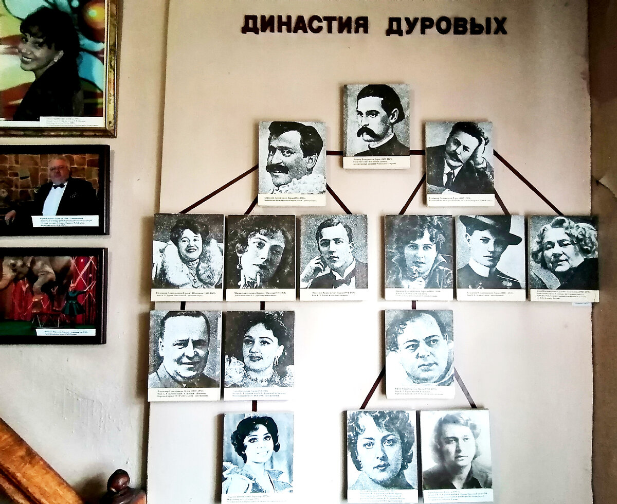 Личное фото. Сделано в доме-музее А.Дурова. "Наша ветвь" идет влево, к цветным фотографиям