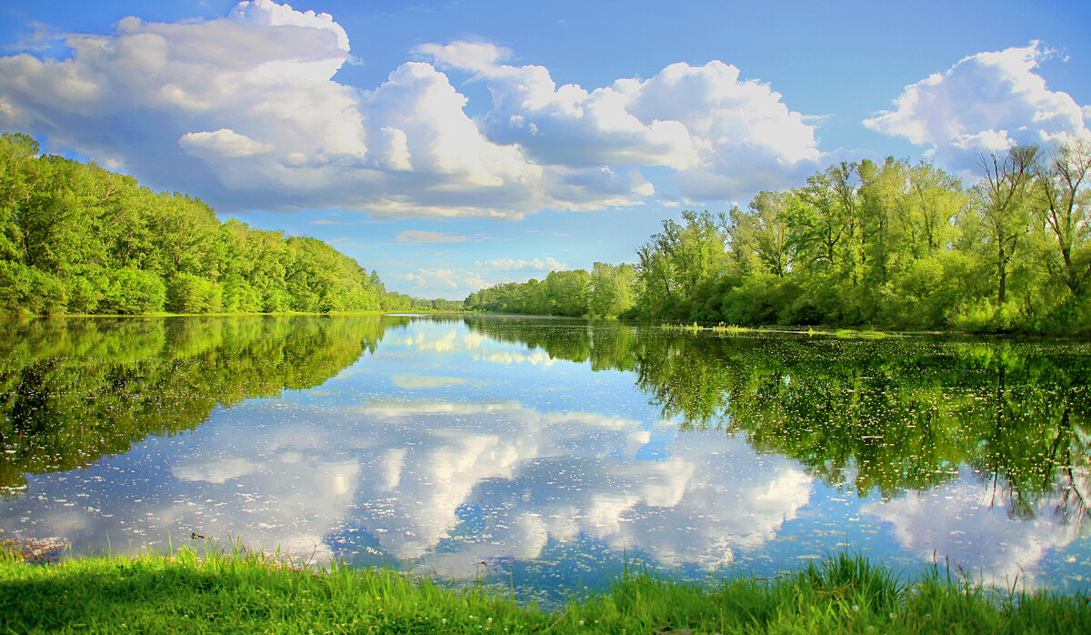 Фотография, стихотворение Василия Глуцкого