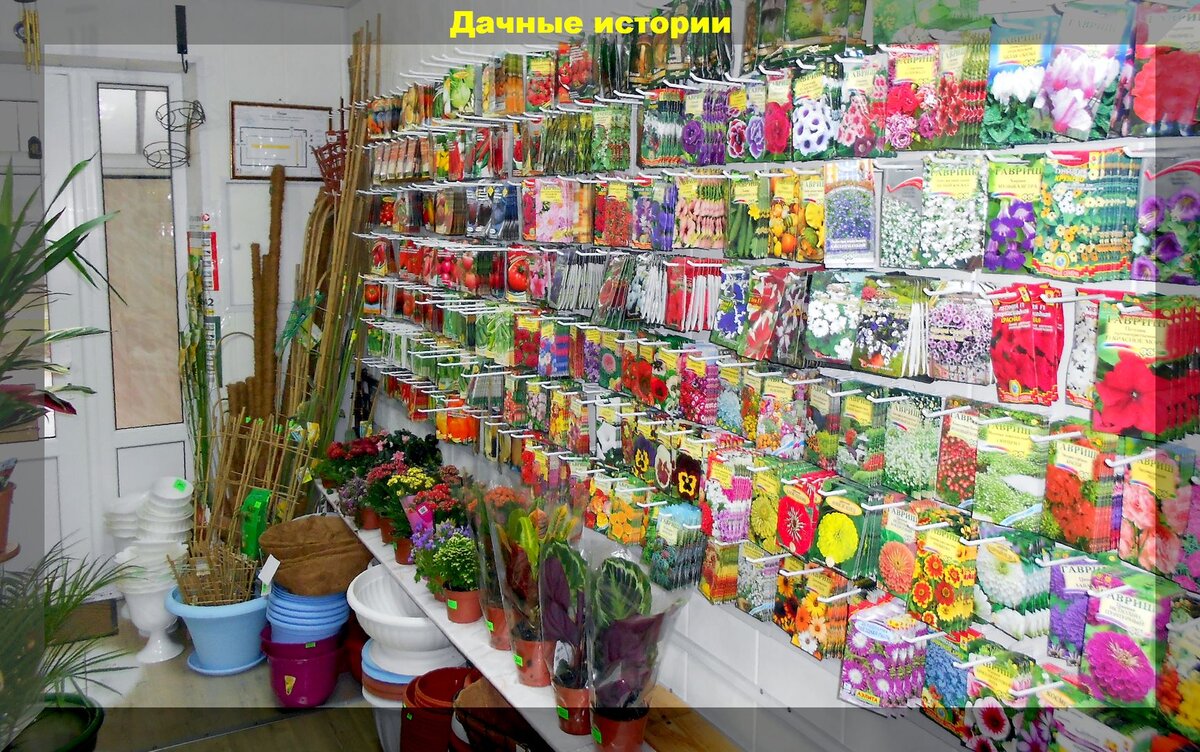 https://vk.com/photo-159774511_457249890