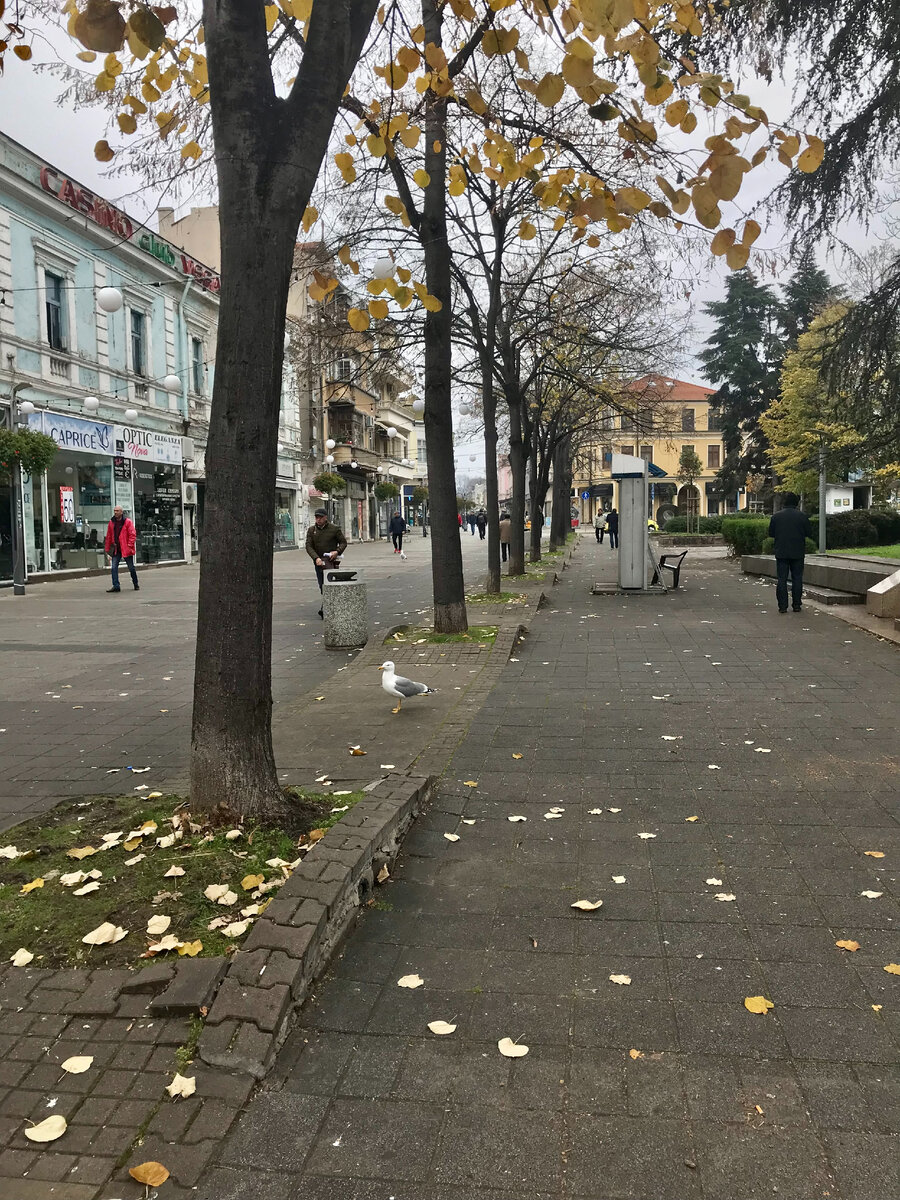 Бургас, Болгария