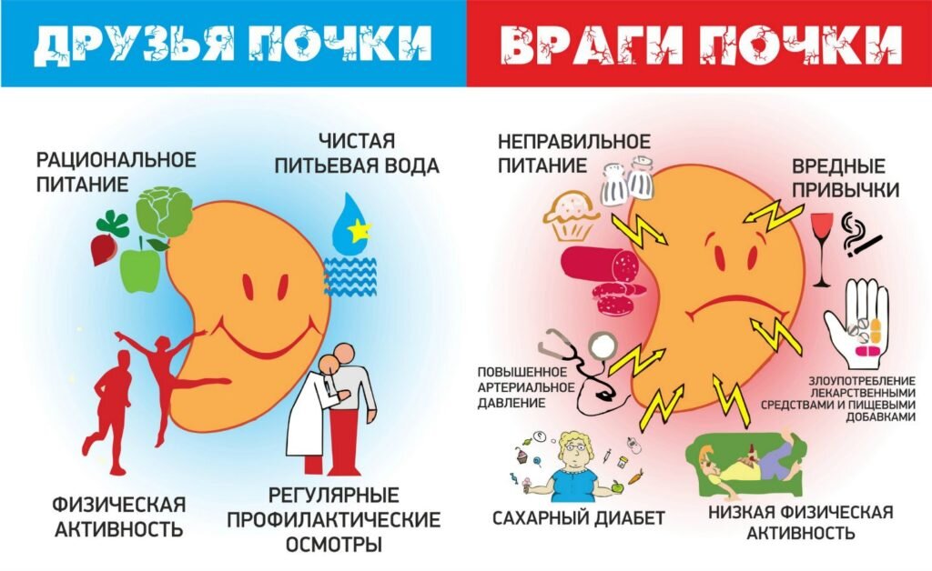 Пиелонефрит при беременности (болят почки)