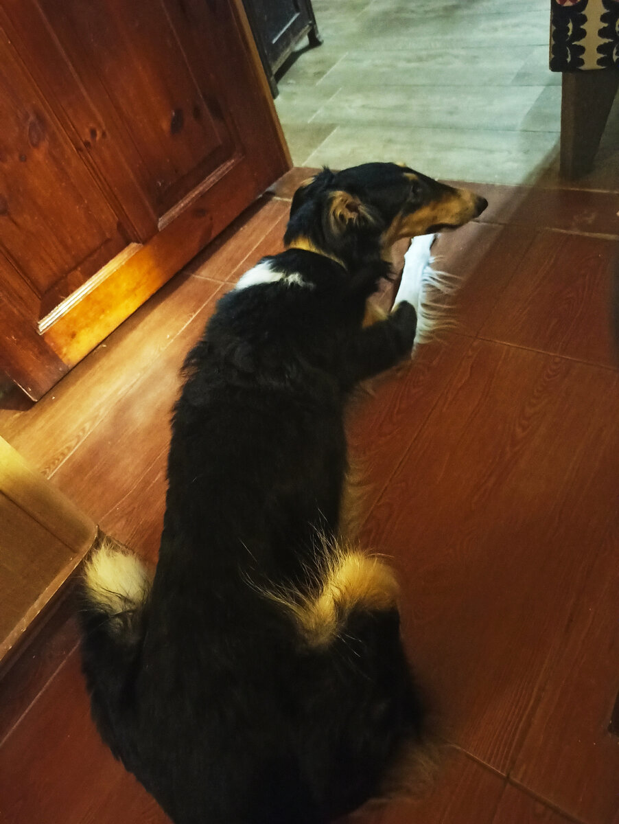 Вот она, моя нервомоталка. 