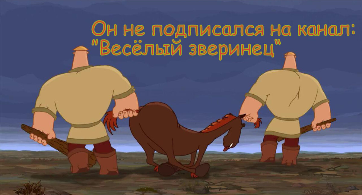В этот момент Юлия сверлила единственная мысль: почему я сразу не подписался...