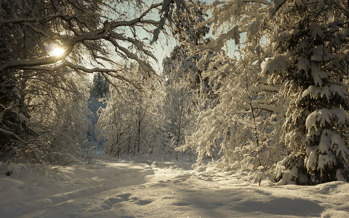 Текст авторский из старых. Фото из открытого источника. 