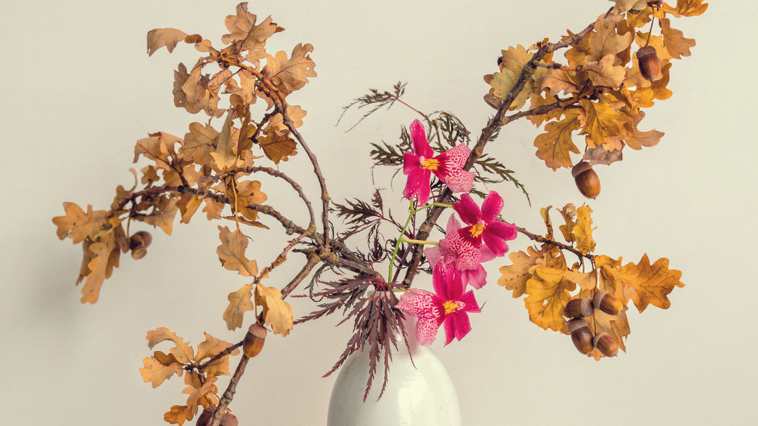 Как собрать букет из сухоцветов — сборка композиций для начинающих своими руками