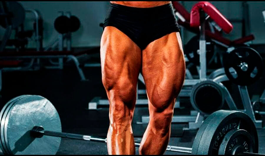 Leg exercises Bodybuilding