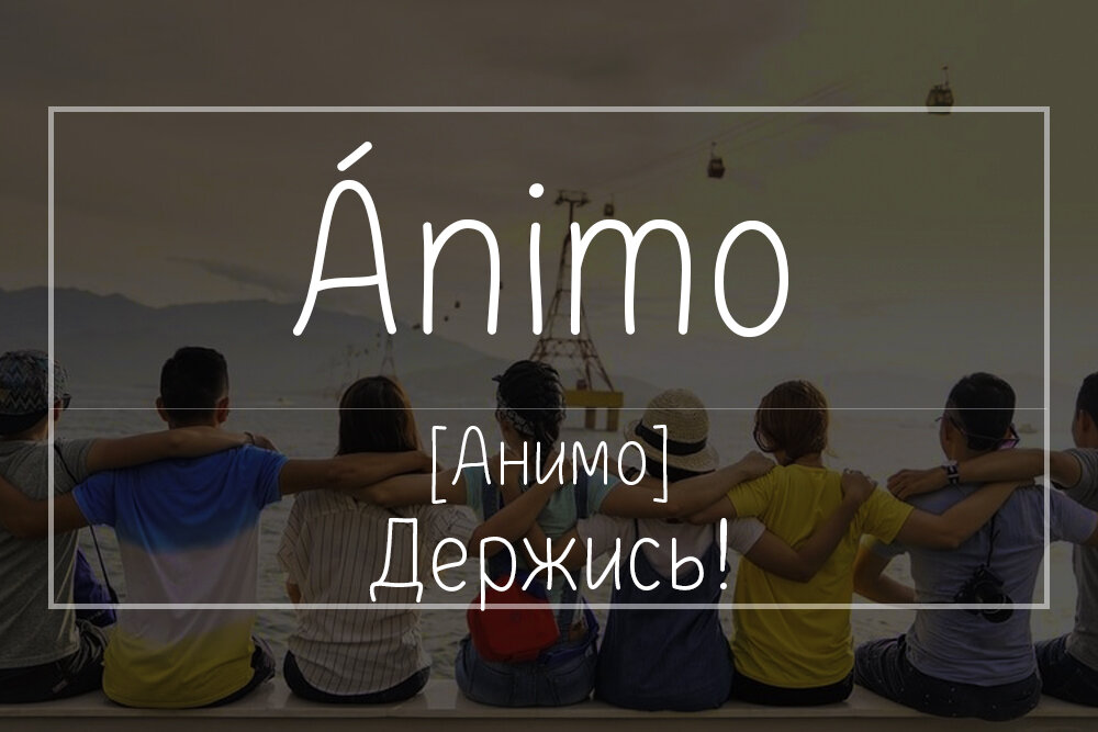 Карточка автора.