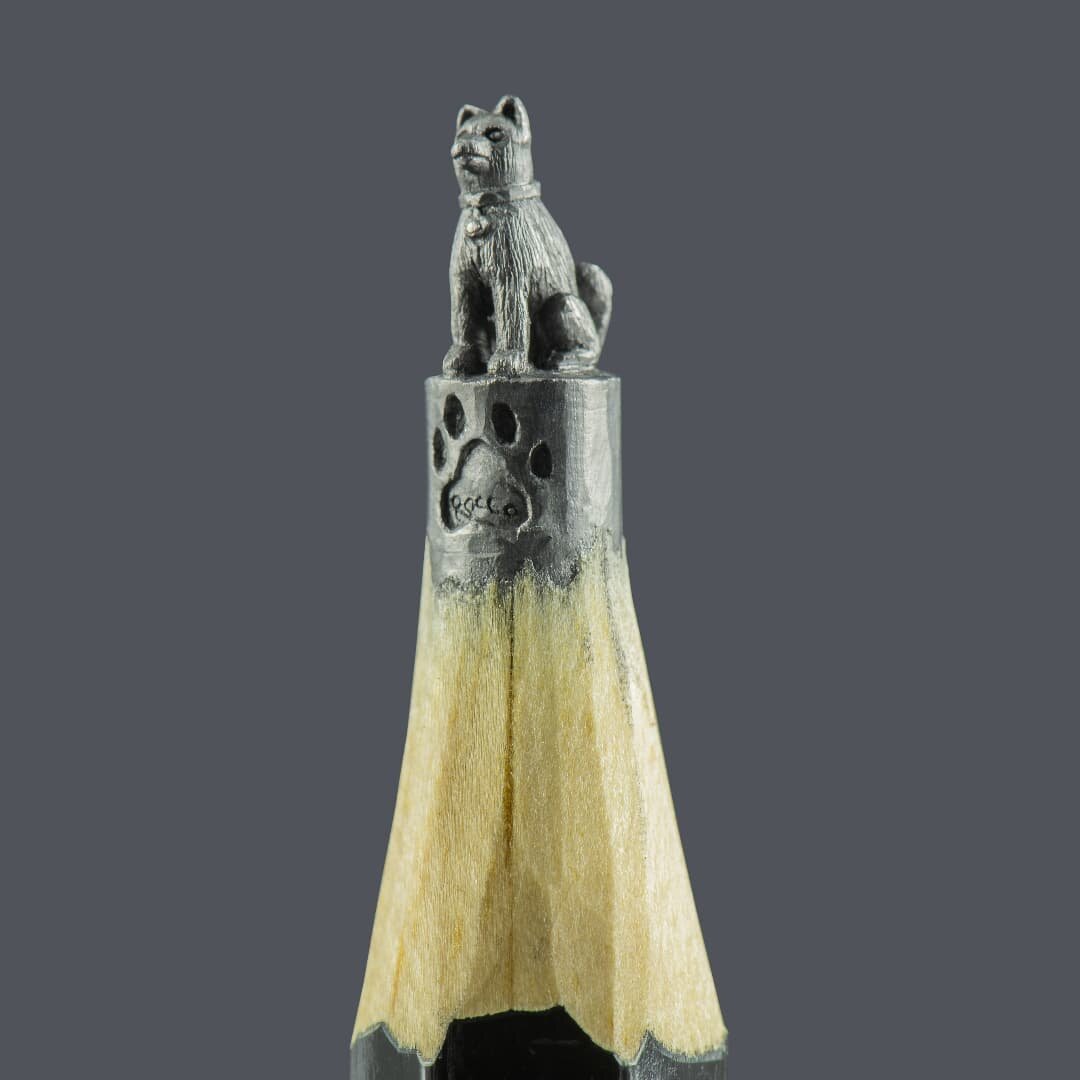 Скульптура собаки по кличке Рокко на кончике карандаша от Ясенко Дордевича. Фото: instagram.com/toldart