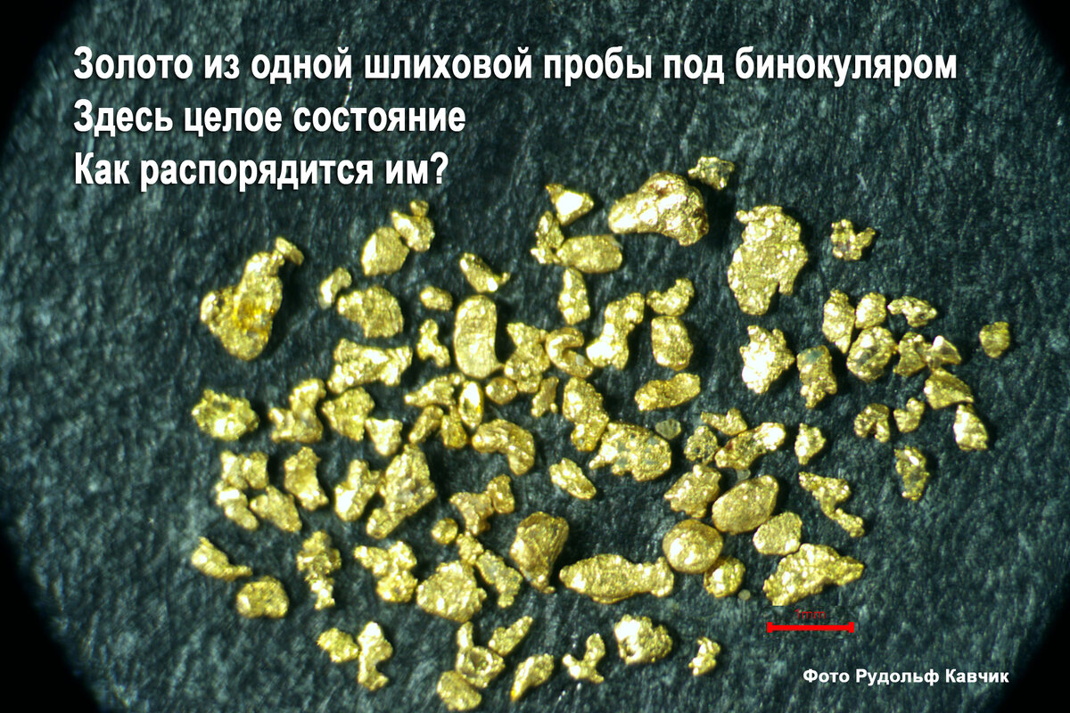 Золото найденное старательским лотком при изучении геологии. Как распорядится находкой? 