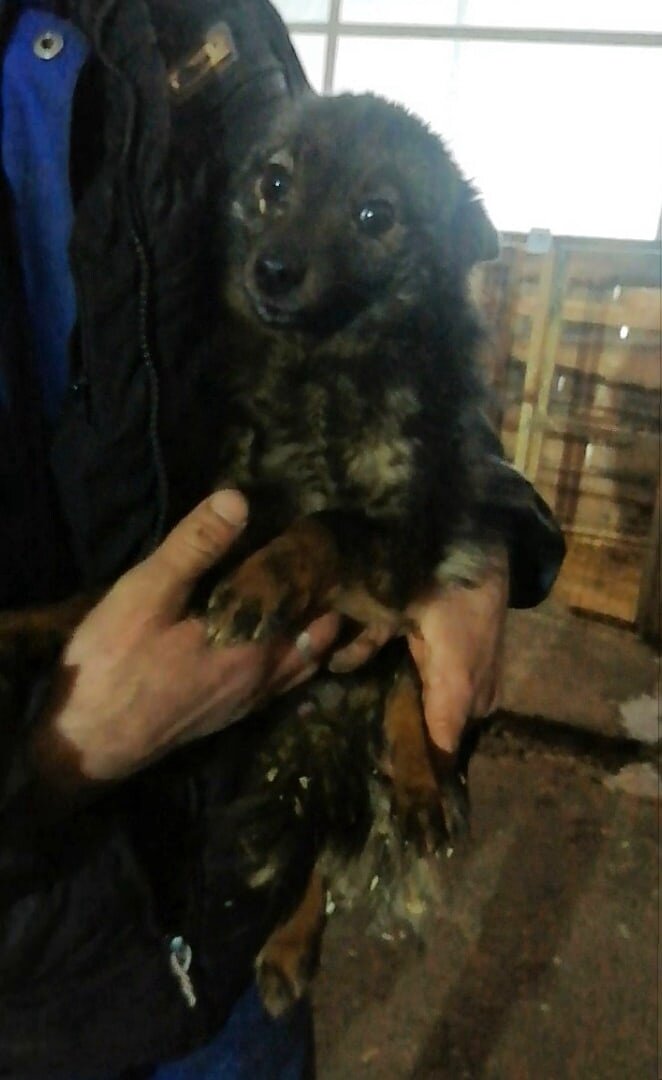 Совсем крошка. В нем не больше 4 кг