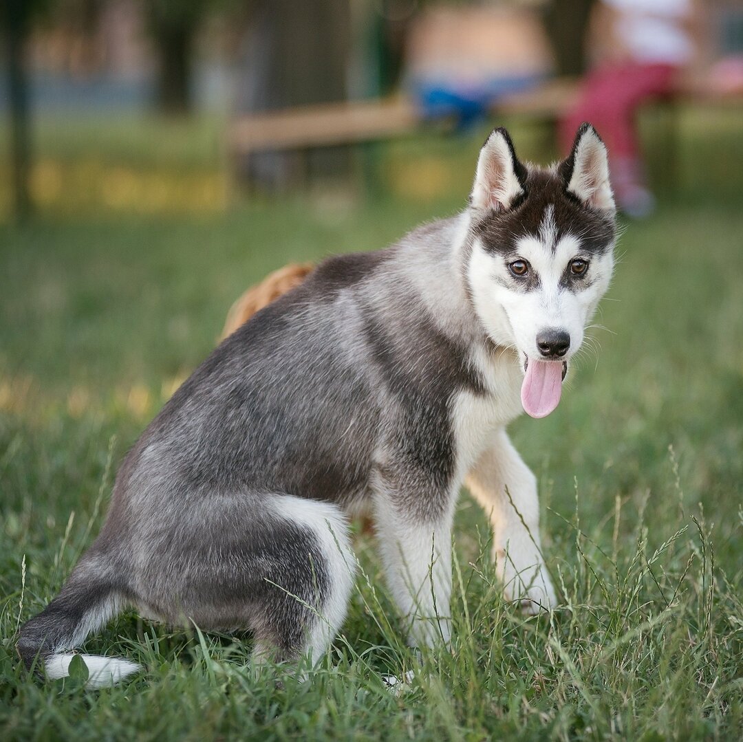 Она же села!