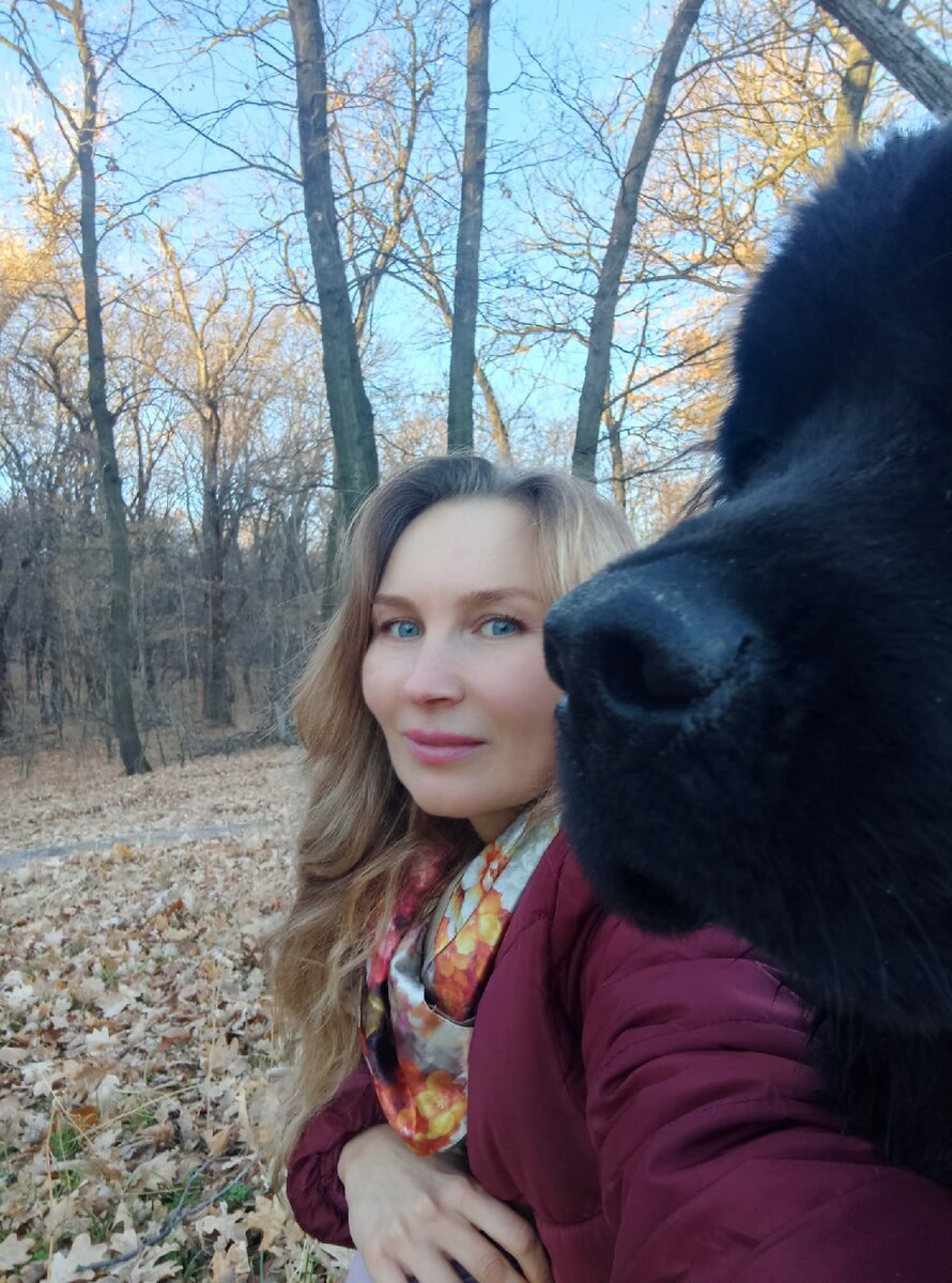 В лесу. Фото автора