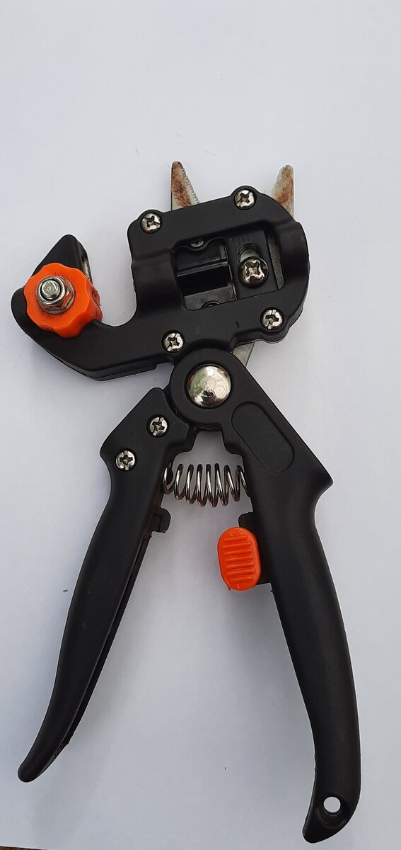 Фото автора.