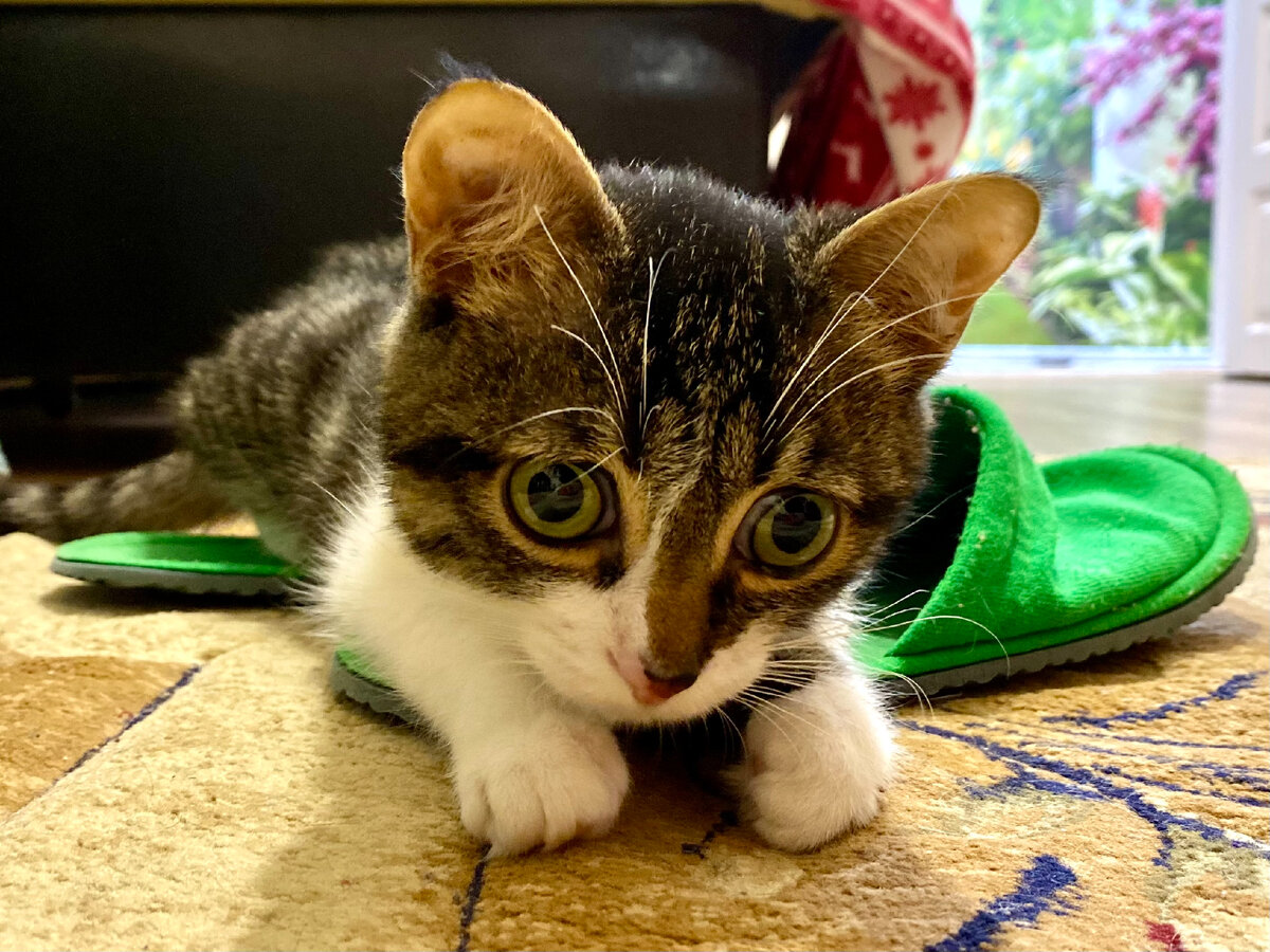 Наверняка он на носки мои засмотрелся