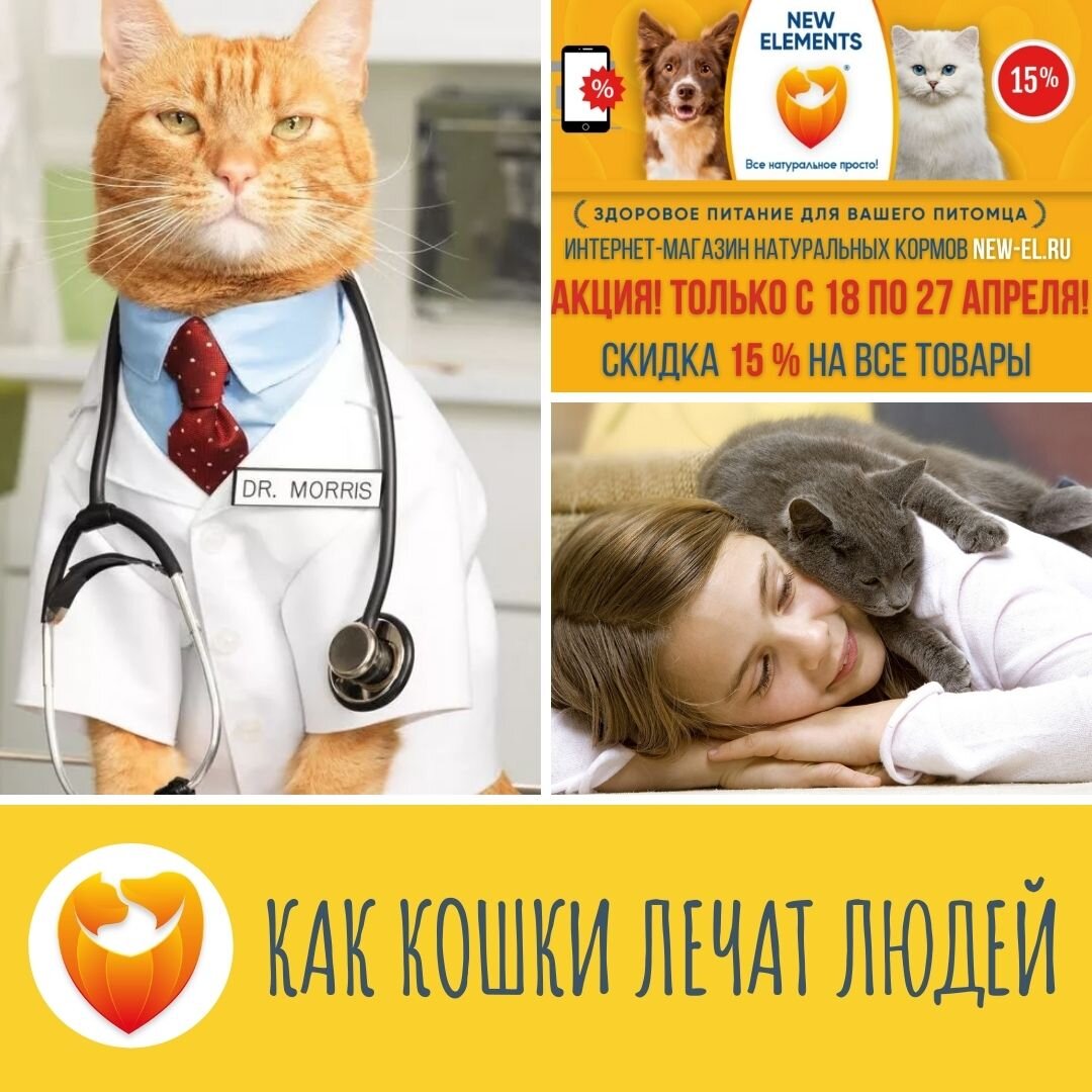 Подпишись на наш канал и получай полезную информацию ежедневно!