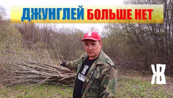 Вырубил целые джунгли на участке. Теперь чисто и красиво