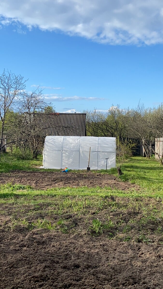 Красавица теперь украшает наш участок