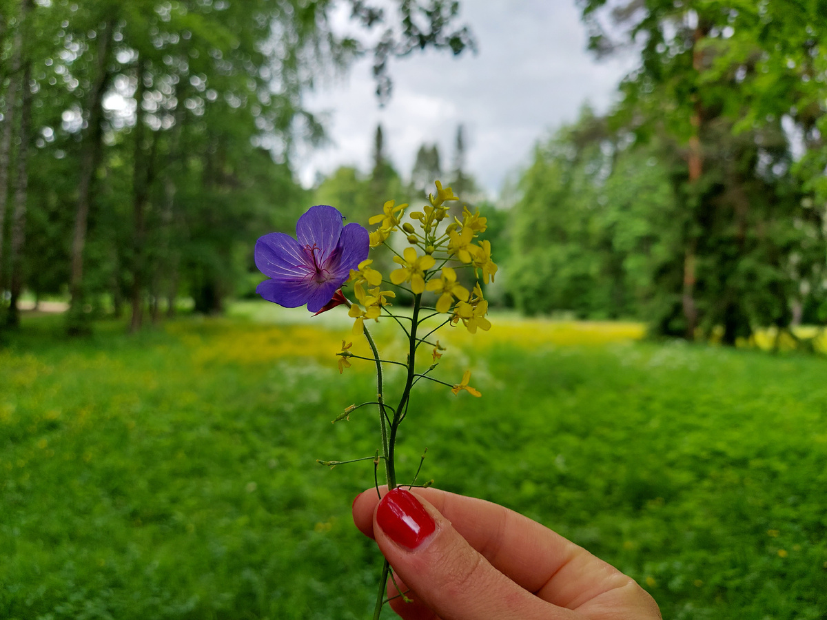 Фото из личного архива