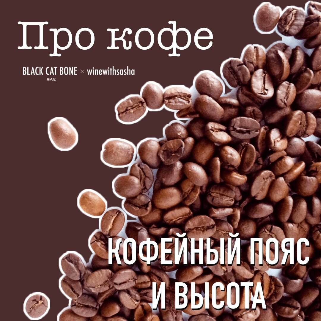 Кофейный пояс и высота над уровнем моря. Про кофе