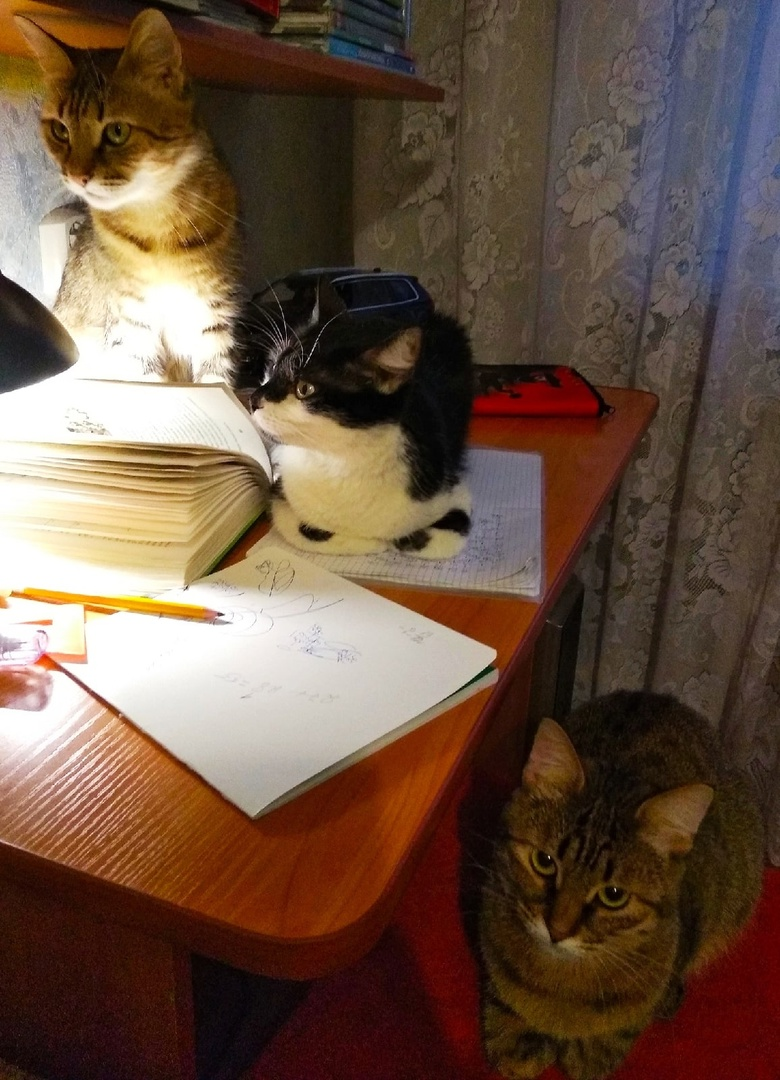 Фото автора. Собрание профессоров