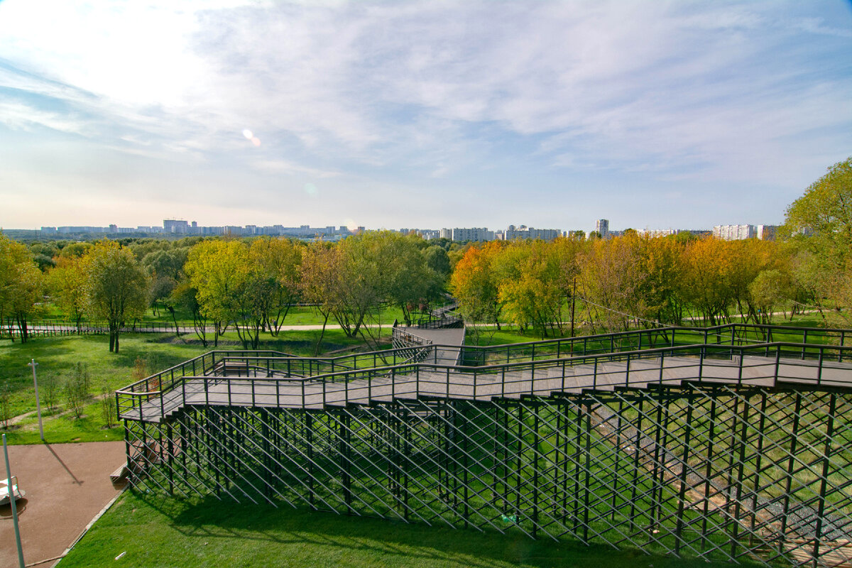 Экотропы в парке (фото: архив «Мой район»)