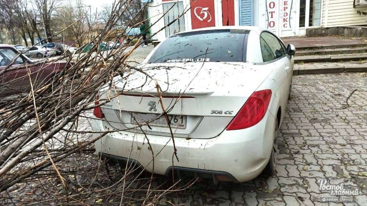 Упавшие от сильного ветра деревья повредили несколько автомобилей в Ростове  18 ноября | RostovGazeta.ru | Дзен