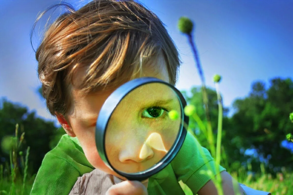 Яндекс.Картинки 