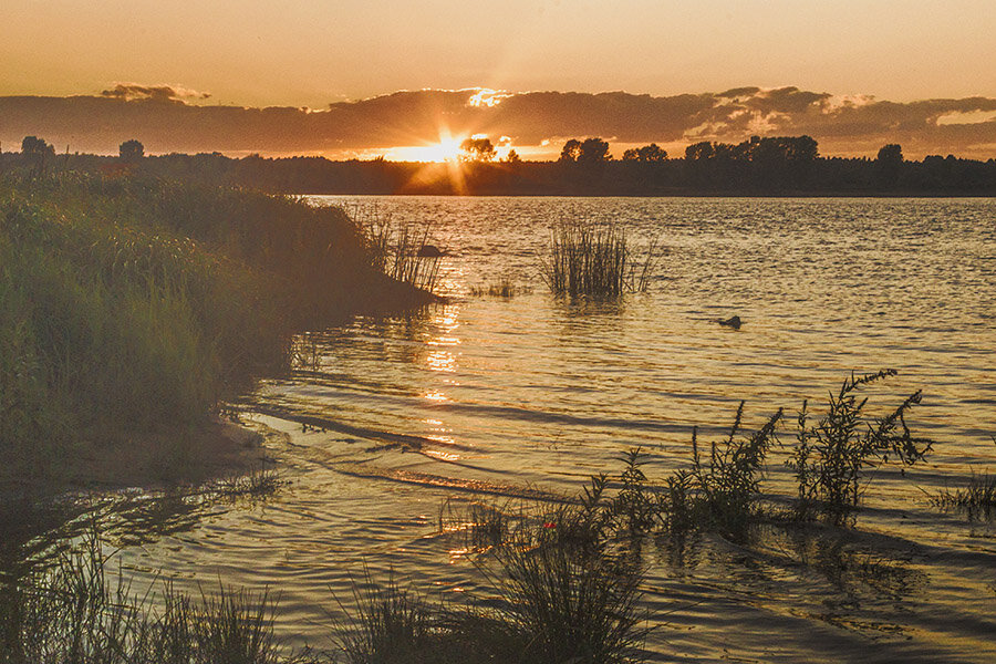 световая подсветка вечернего времени осенью