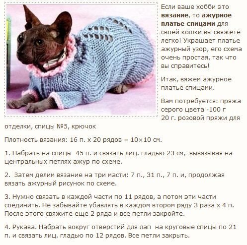 fun-cats.ru  garblog 