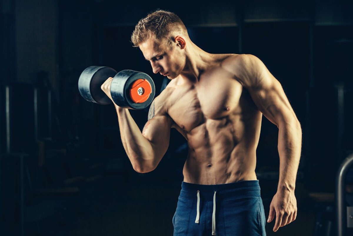 Бицепс после тренировки