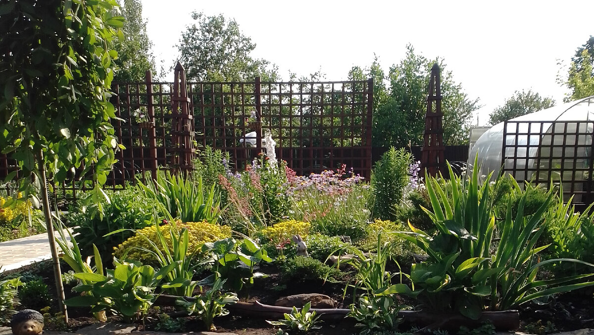 Альпийская горка на второй год