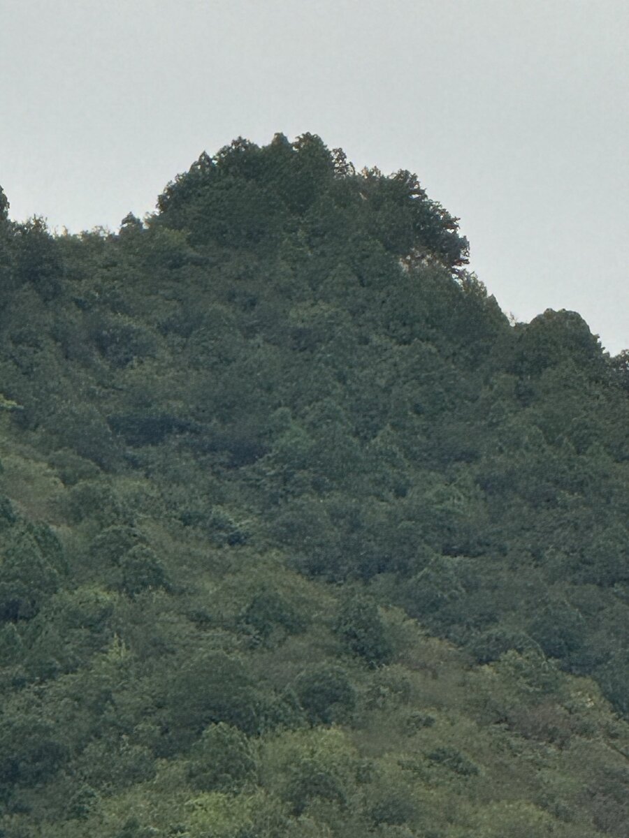   📷
