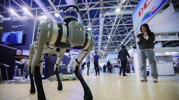    © Sputnik / Виталий Белоусов