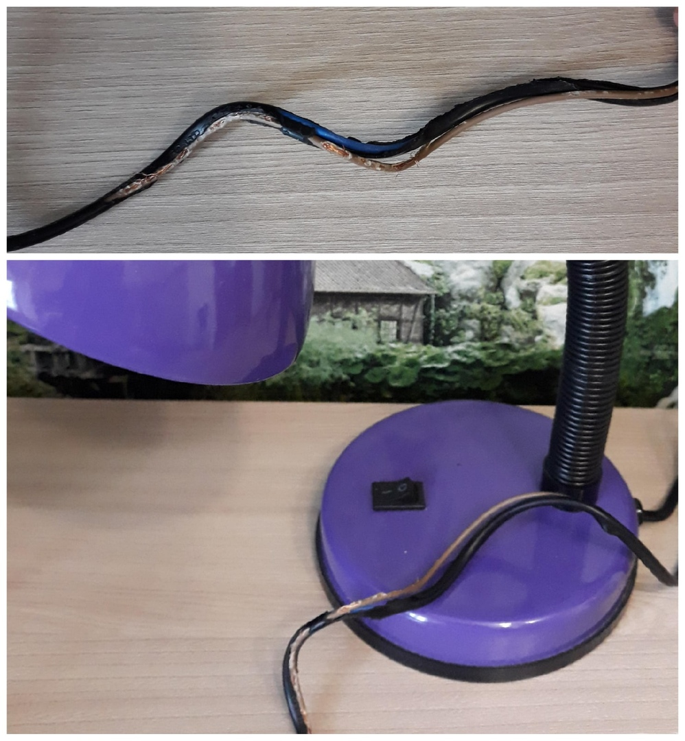 Погрызли провода. 