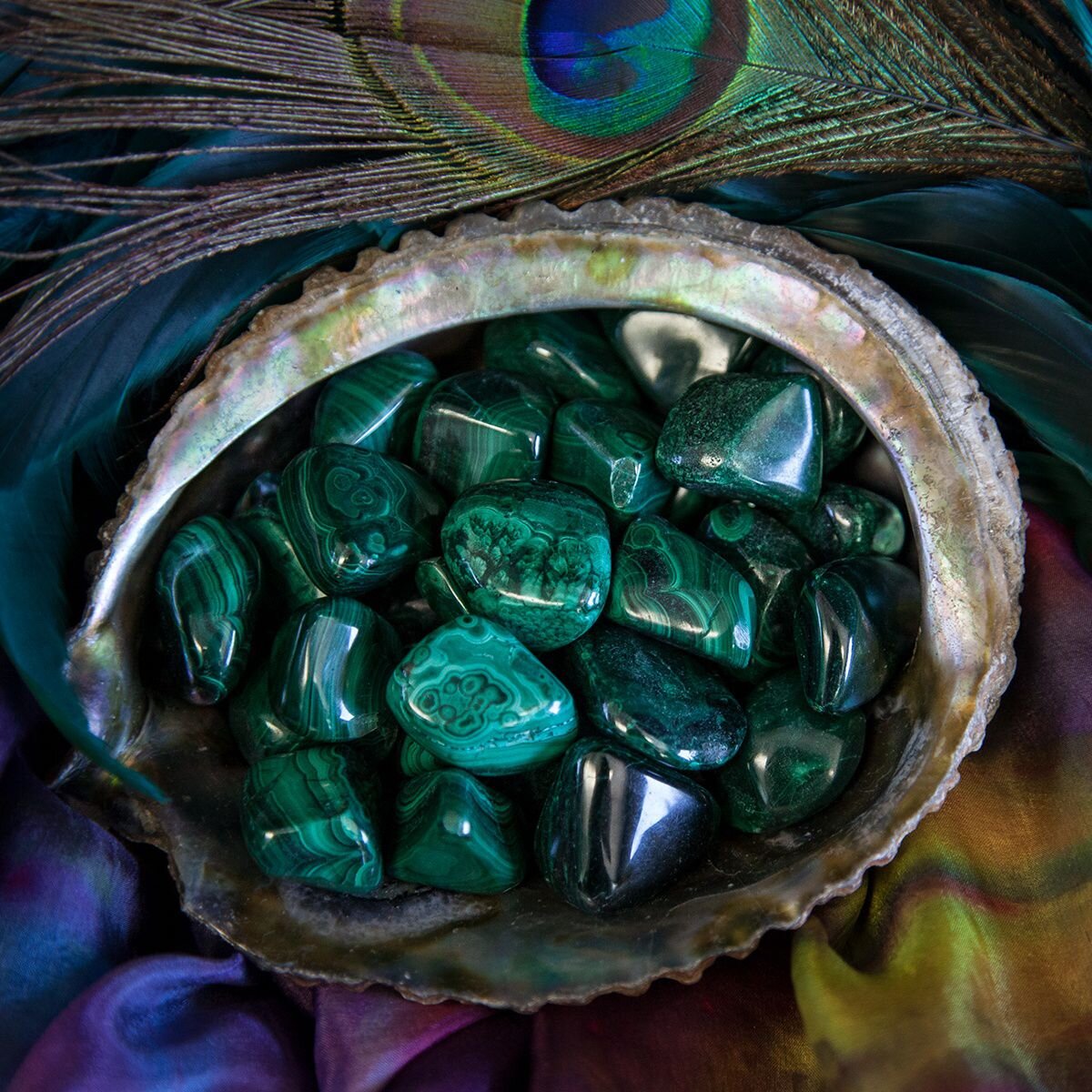 Фотография взята с сайта listelist.com