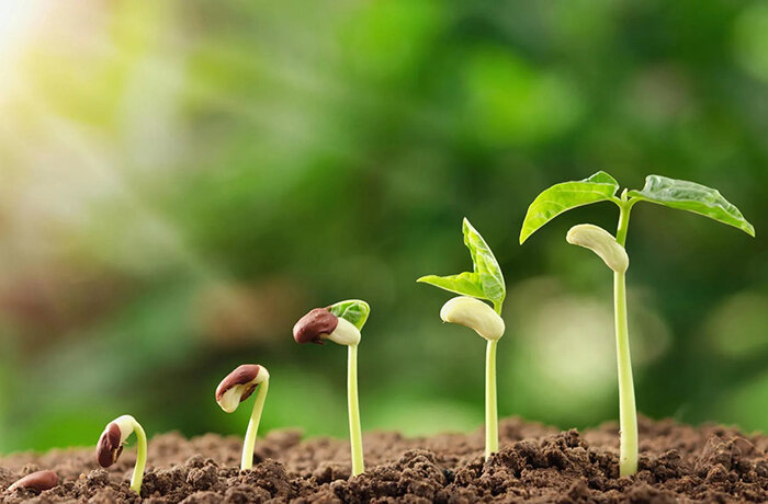 Источник фото: shutterstock.com