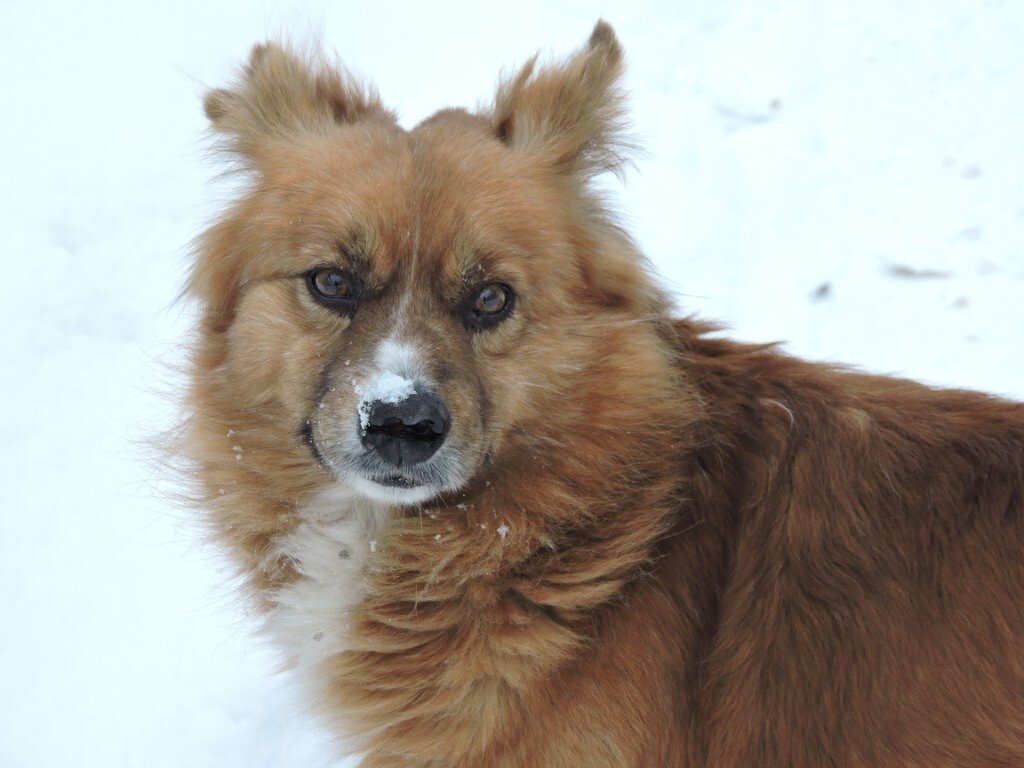 фото  автора