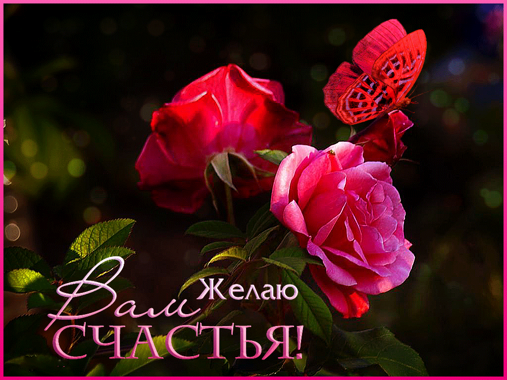 Удачи, счастья и любви Вам!🌹