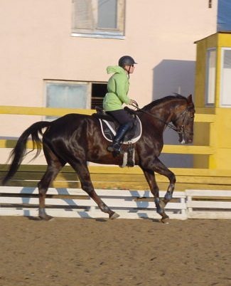 Созвездие,троеборье, мы с Гипкой